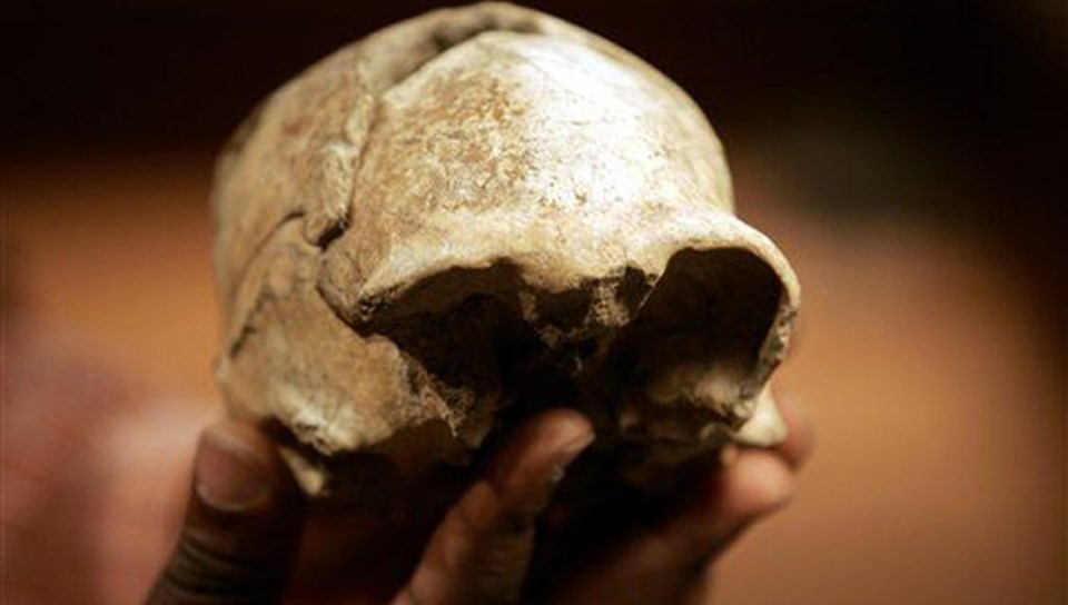 2 milyon yıllık Homo erectus kafatası.
