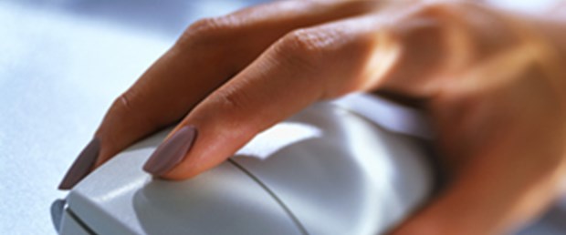 İnternet'te 224 milyondan fazla web sitesi var