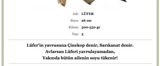 "İstanbul Lüfer'e hasret kalmasın!"