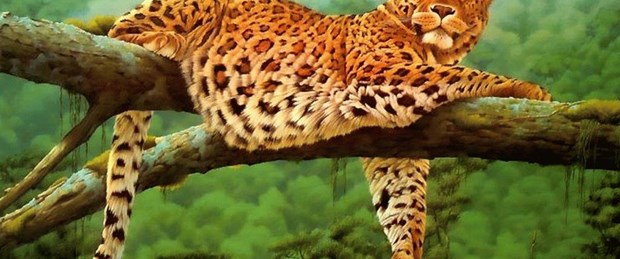 İstanbul'da "leopar" toplantısı