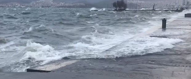 deniz-kara.jpg