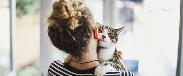 kedi.jpg