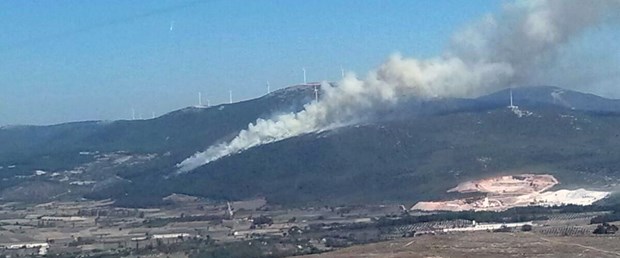manisa orman yangını.jpg