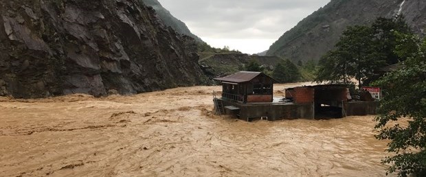 rize sel.jpg