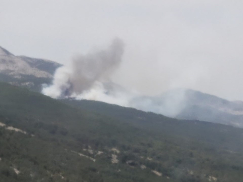 Muğla'da orman yangını