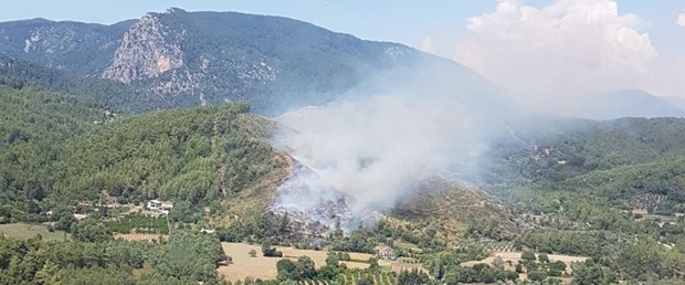 ormanyangını.jpg