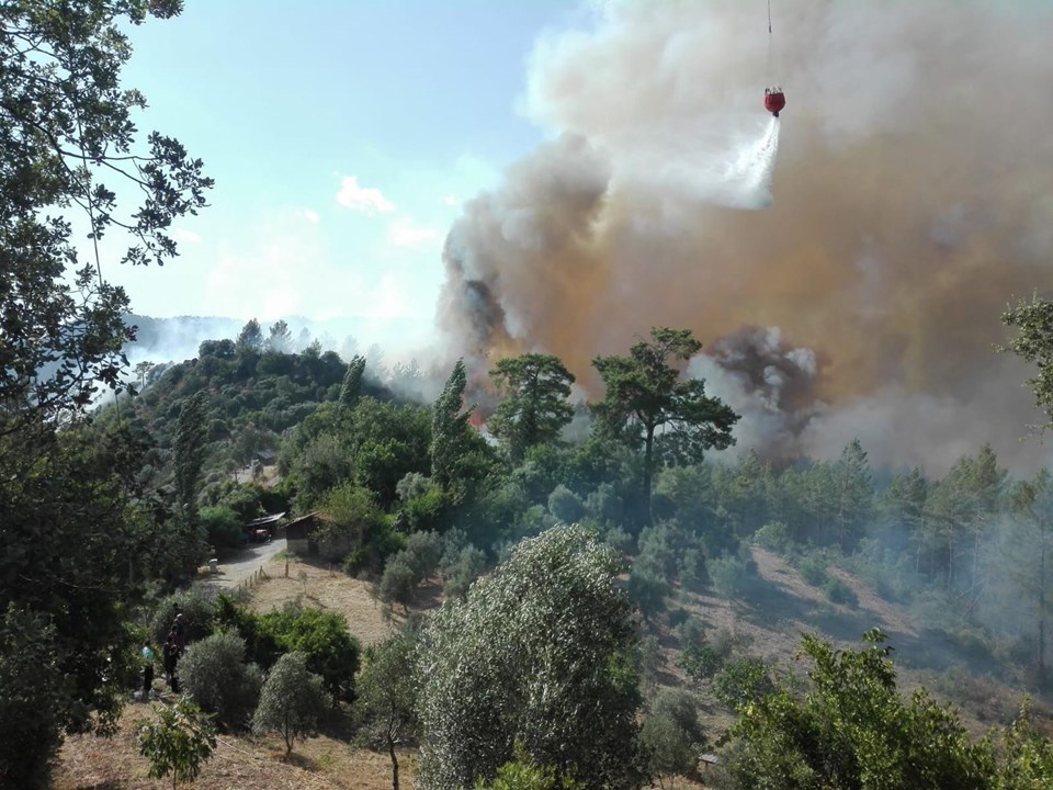 Muğla�da orman yangınları Dalaman, Milas ve Fethiye�de 350 hektarlık