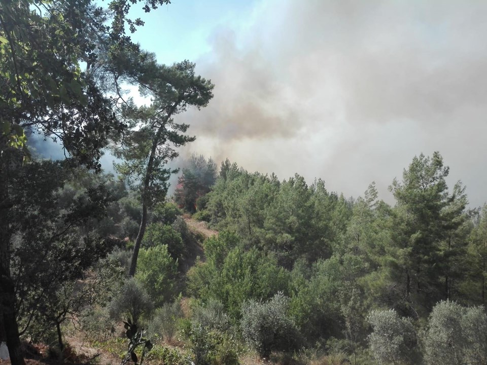 Muğla�da orman yangınları Dalaman, Milas ve Fethiye�de 350 hektarlık