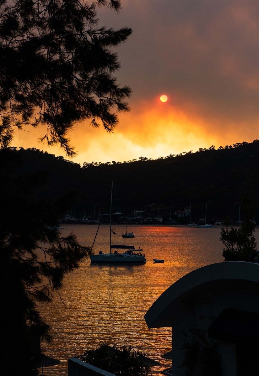 Muğla�da orman yangınları Dalaman, Milas ve Fethiye�de 350 hektarlık