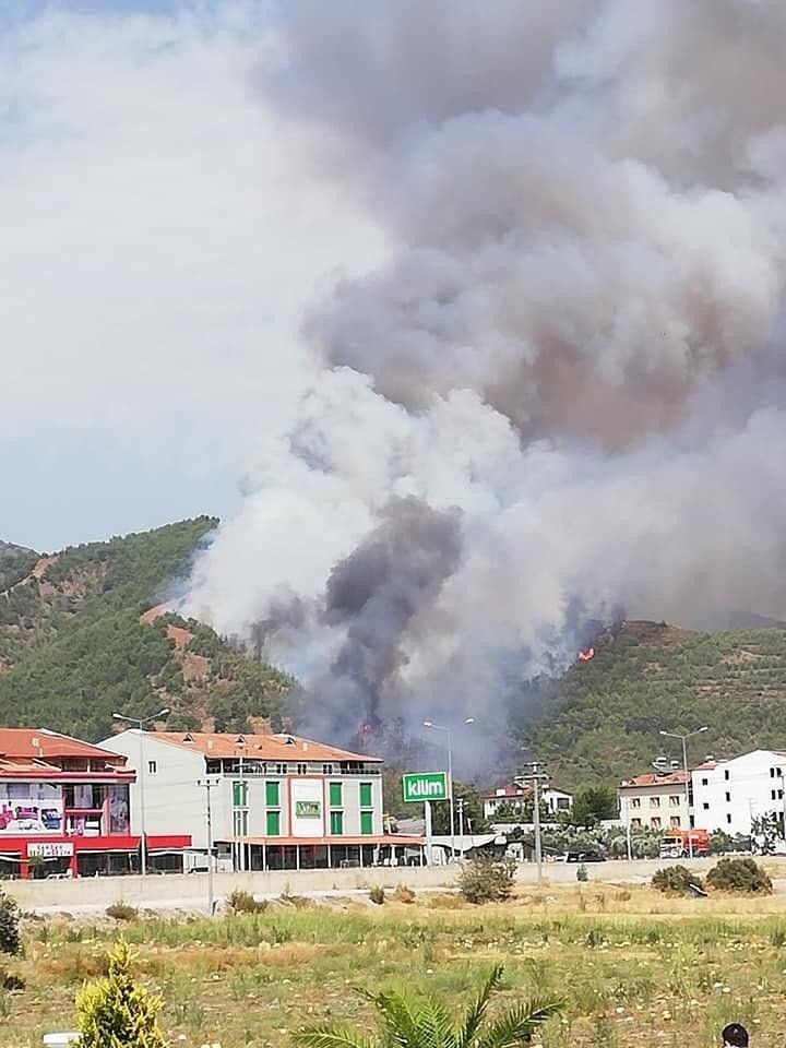 Muğla�da orman yangınları Dalaman, Milas ve Fethiye�de 350 hektarlık