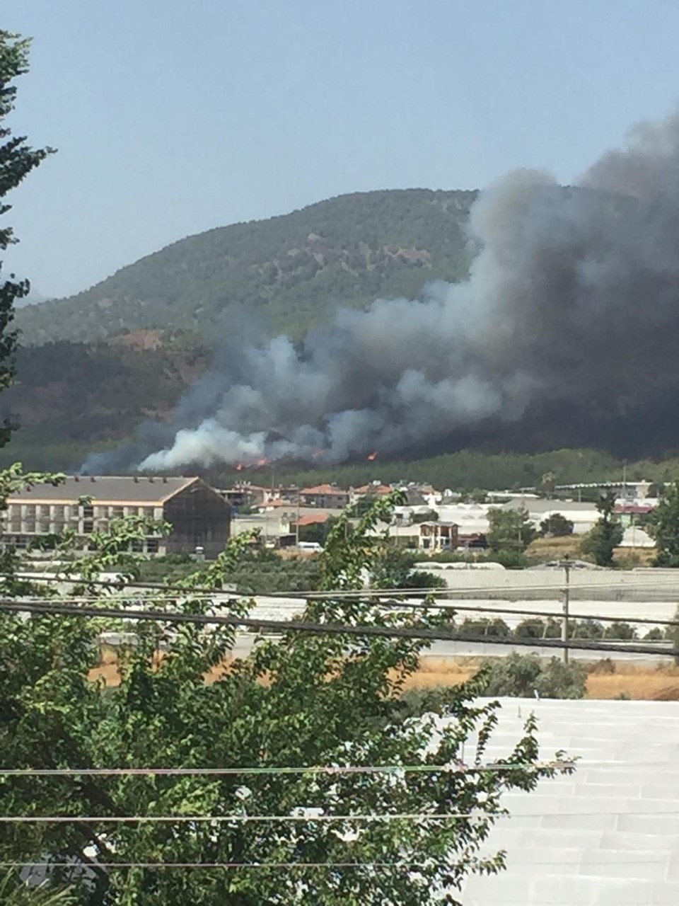 Muğla�da orman yangınları Dalaman, Milas ve Fethiye�de 350 hektarlık