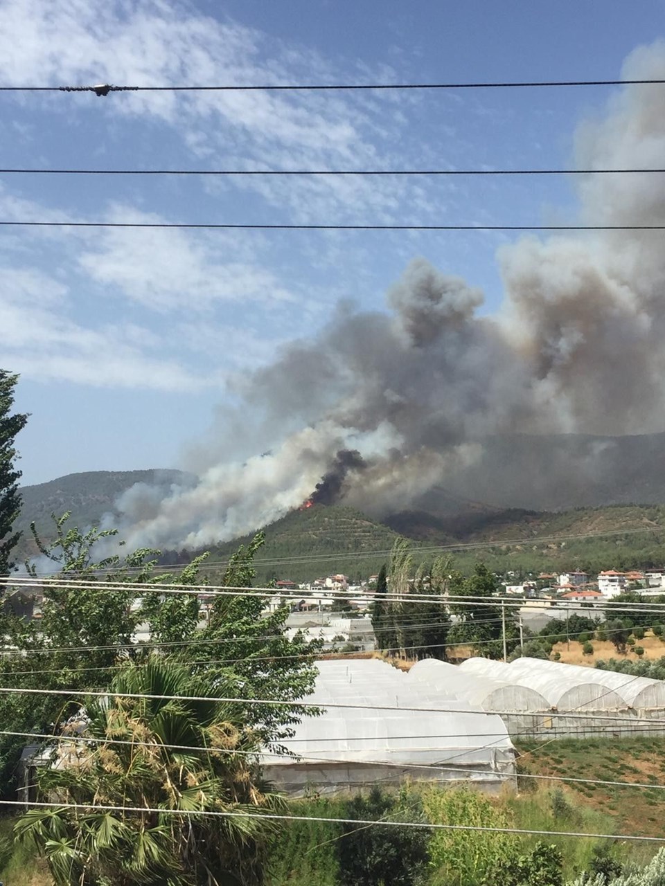 Muğla�da orman yangınları Dalaman, Milas ve Fethiye�de 350 hektarlık