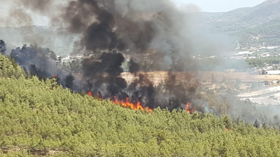 Muğla�da orman yangınları Dalaman, Milas ve Fethiye�de 350 hektarlık