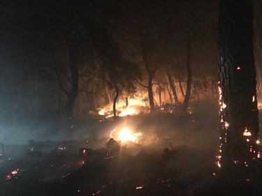 Yangın bölgesinde oluşturulan kriz merkezinde çalışmaları yöneten Muğla Valisi Esengül Civelek, AA muhabirine yaptığı açıklamada, Dalaman ilçesinde öğle saatlerinde başlayan yangına hava kararıncaya kadar 20'ye yakın helikopterle müdahale edildiğini söyledi.