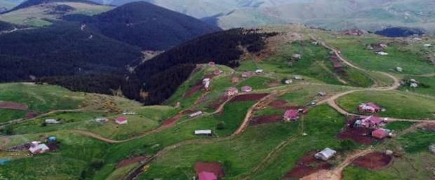 ordu yayla.jpg