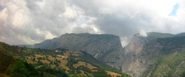 'Örnek orman' Türkiye'de