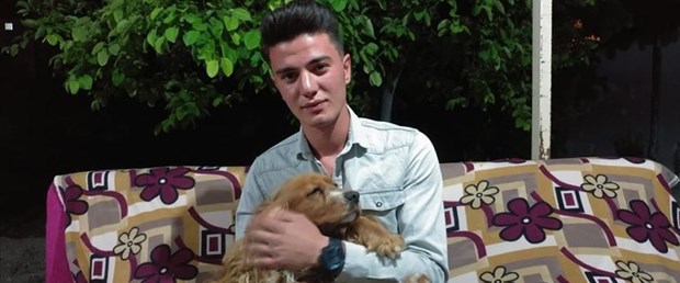 köpek.jpg