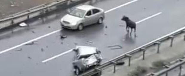 kurban kaza.jpg