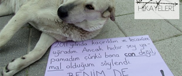 Şiddet hikayeleri dile geldi