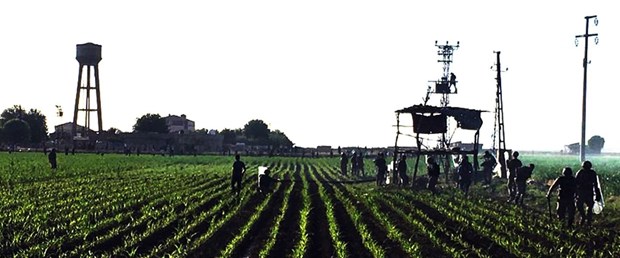 AW773138_06.jpg
