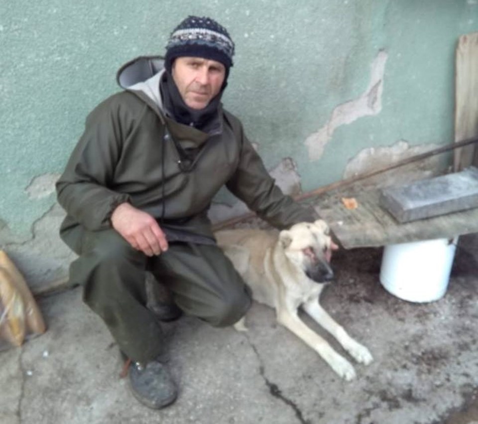Mustafa Yar'ın beslediği sokak köpeği gözleri oyulmuş halde bulundu.