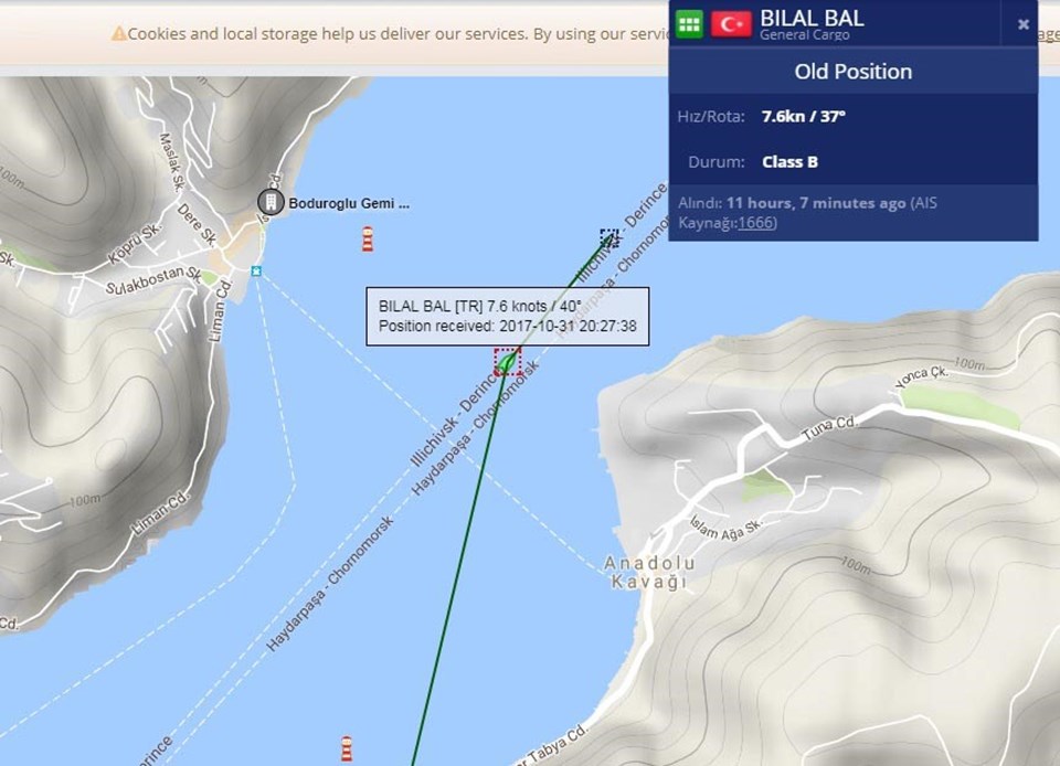 Geminin gece Karadeniz'e açılışını gosteren deniz trafik haritası.
