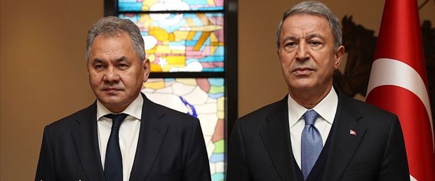 soygu akar.jpg