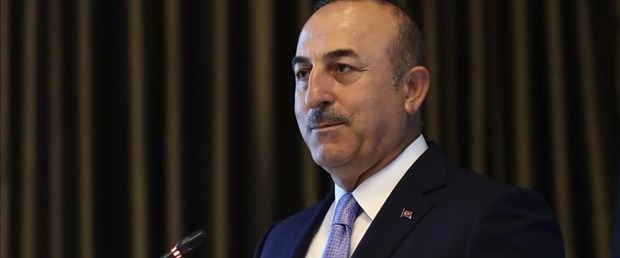 dışişleri bakanı mevlüt çavuşoğlu suriye140418.jpg