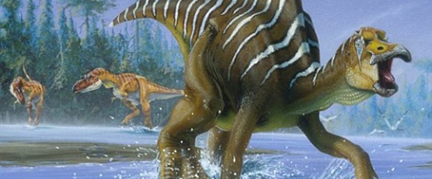 Son dinozor bulundu