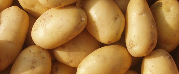 'Süper patates' 10 yıl sonra sofrada