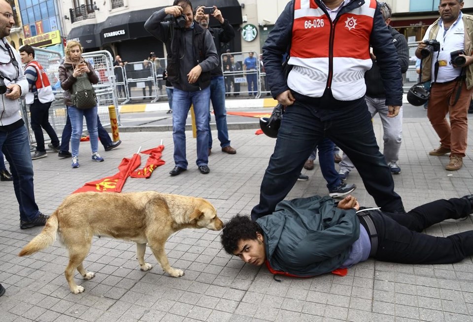 Yerdeki göstericinin yanına gelen bir sokak köpeği, polis tarafından tekmeyle uzaklaştırıldı.