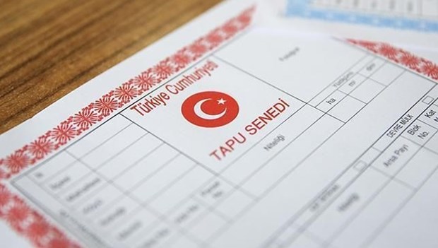 tapu dolandırıcı.jpg