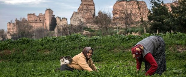 yedikule_bostanlari.jpg
