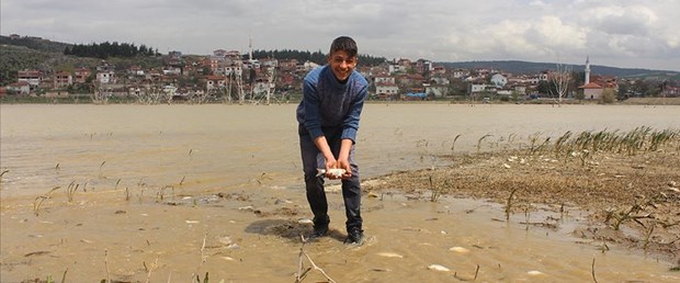 tarla-balık.jpg