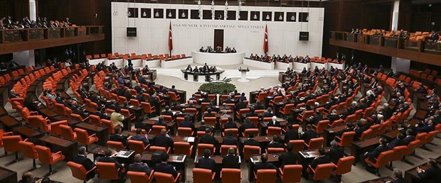 meclis vize düzenleme240416.jpg