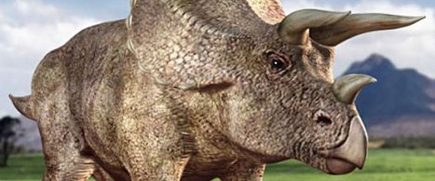 Triceratops meğer yokmuş!