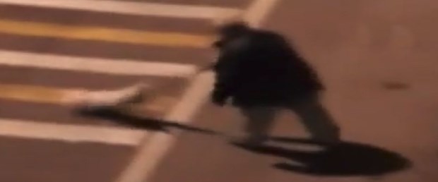 otoyol-köpek.jpg