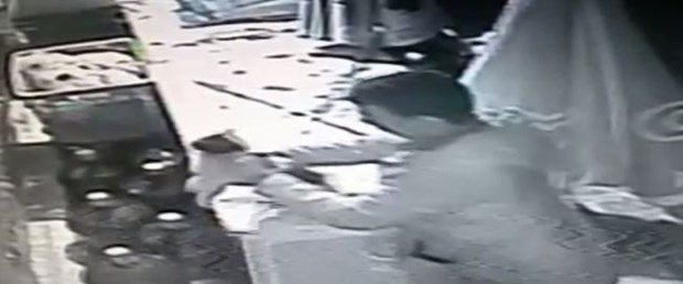 kedi cani.jpg
