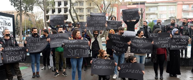 hayvansever.jpg