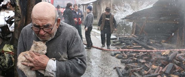 ali dede bolu ayngın kedi.jpg