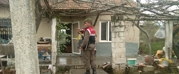 aydın yangın.jpg