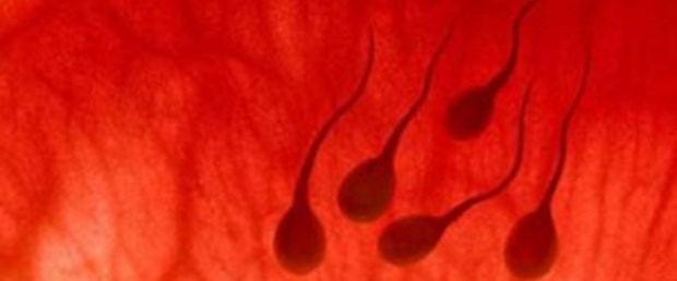 Yavaş sperm hamile kalmayı zorlaştırıyor