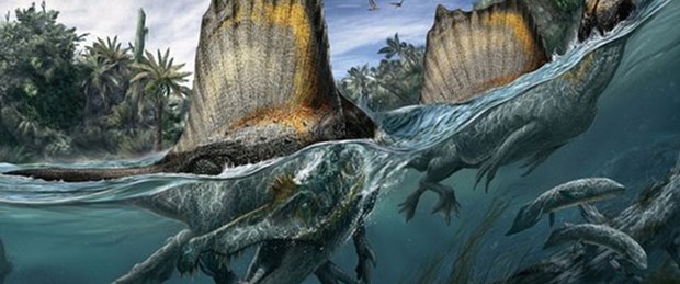 Yeni bir dinozor türü keşfedildi