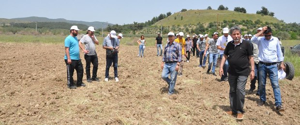 yırca-17-05-2015.jpg
