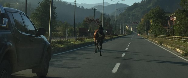 at rize trafik.jpg