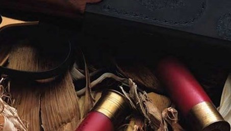 Muğla'nın Yatağan ilçesinde, psikolojik...