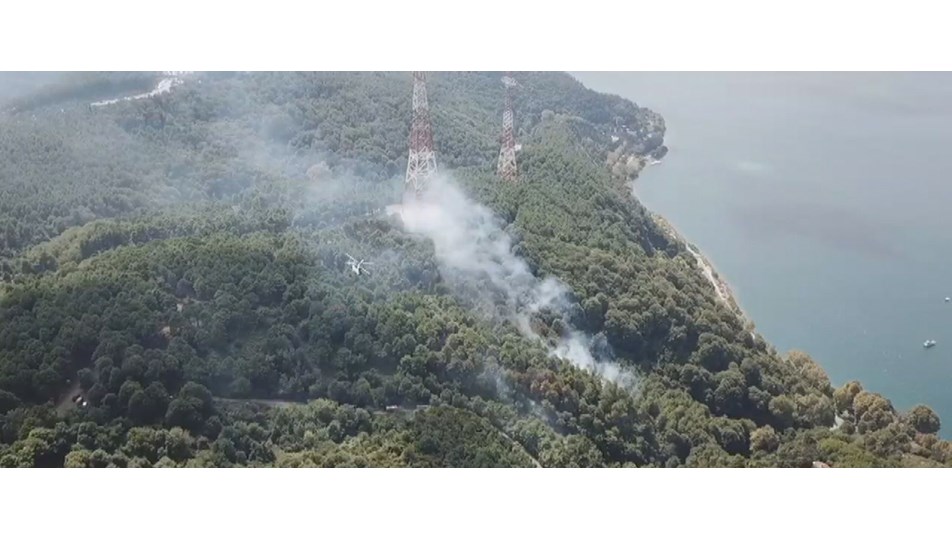 Anadolu Kavağı'nda orman yangını