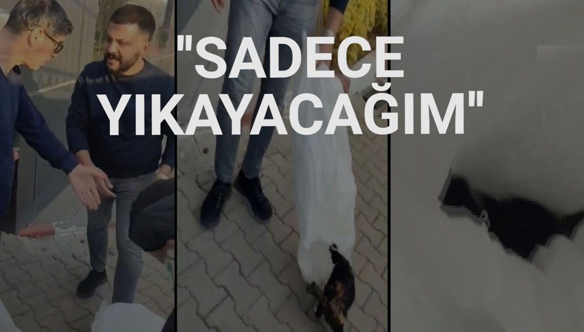 Bilecik’teki KYK yurdunda kedileri çuvala koyarak topladılar Bilecik’teki KYK yurdunda kedileri çuvala koyarak topladılar