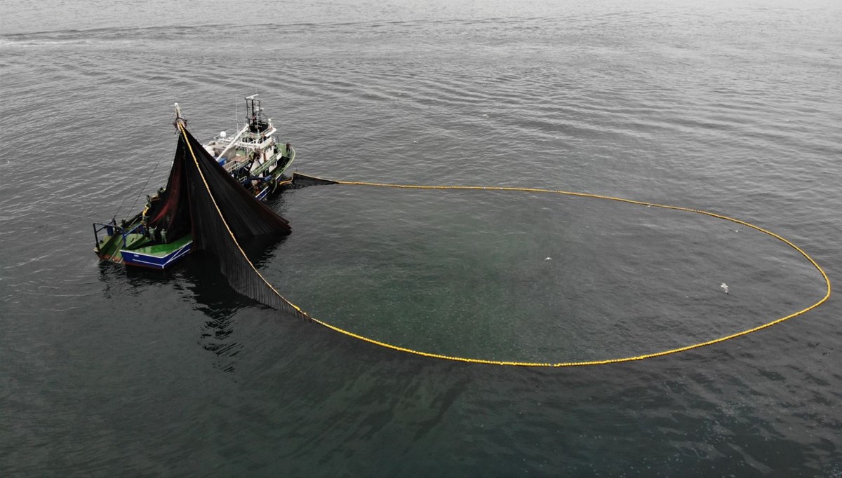 Körfeze giren 600 ton hamsiyi saatler içinde yakaladılar