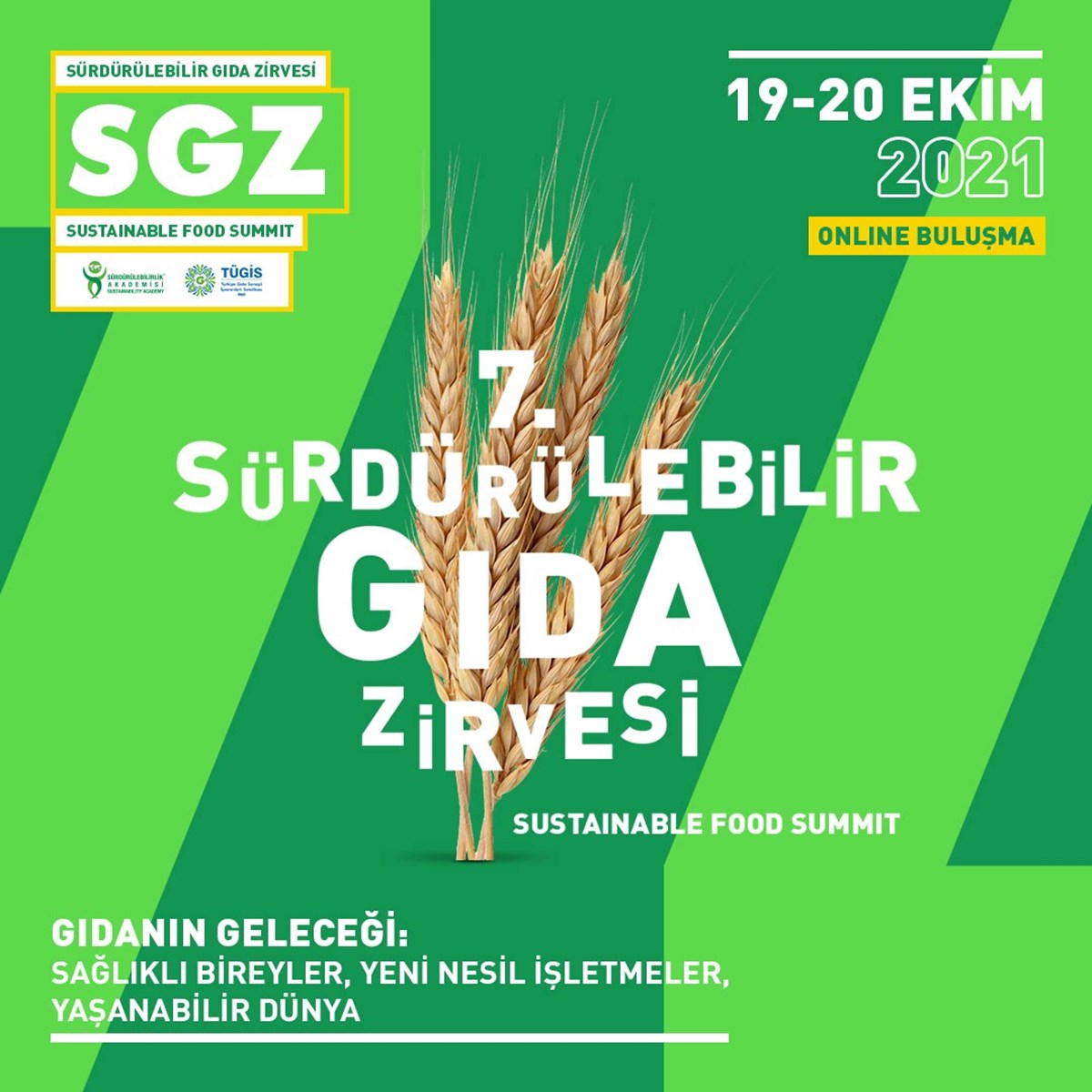 tzCEBSTaW0qeFSPpaQ1rxw.jpg